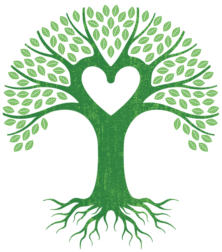 阳光,是树木生长的希望所在,大树知道必须为自己争取更多的阳光,才有